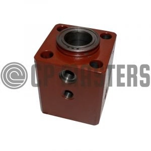 Cylinder Head - Schwing - 10017555