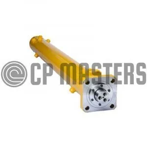 Differential Cylinder 110/63 - Schwing - 10002301